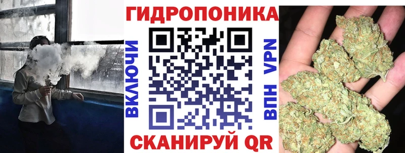 Бошки Шишки планчик Инза